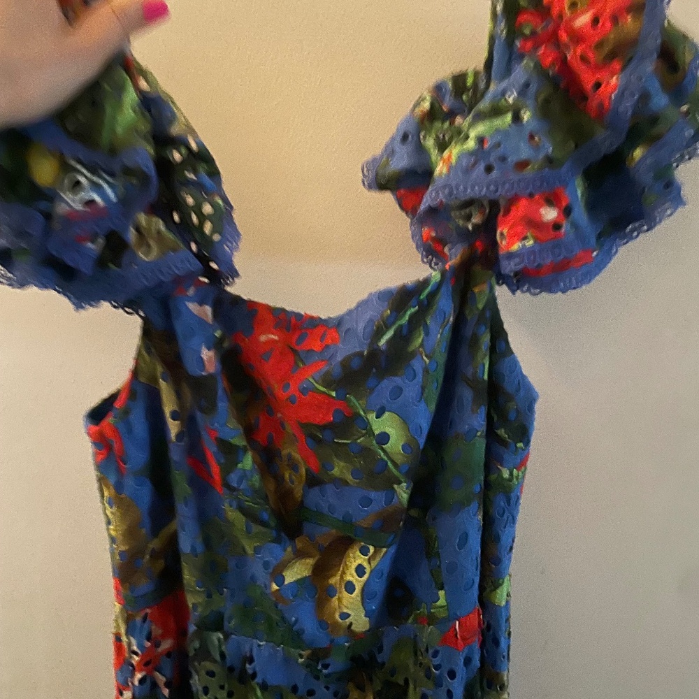 Alice and Olivia Maxi Dress